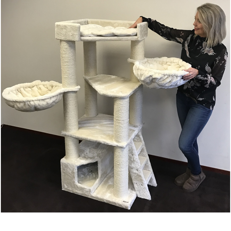 ❤️The Best Gift For Your Cats