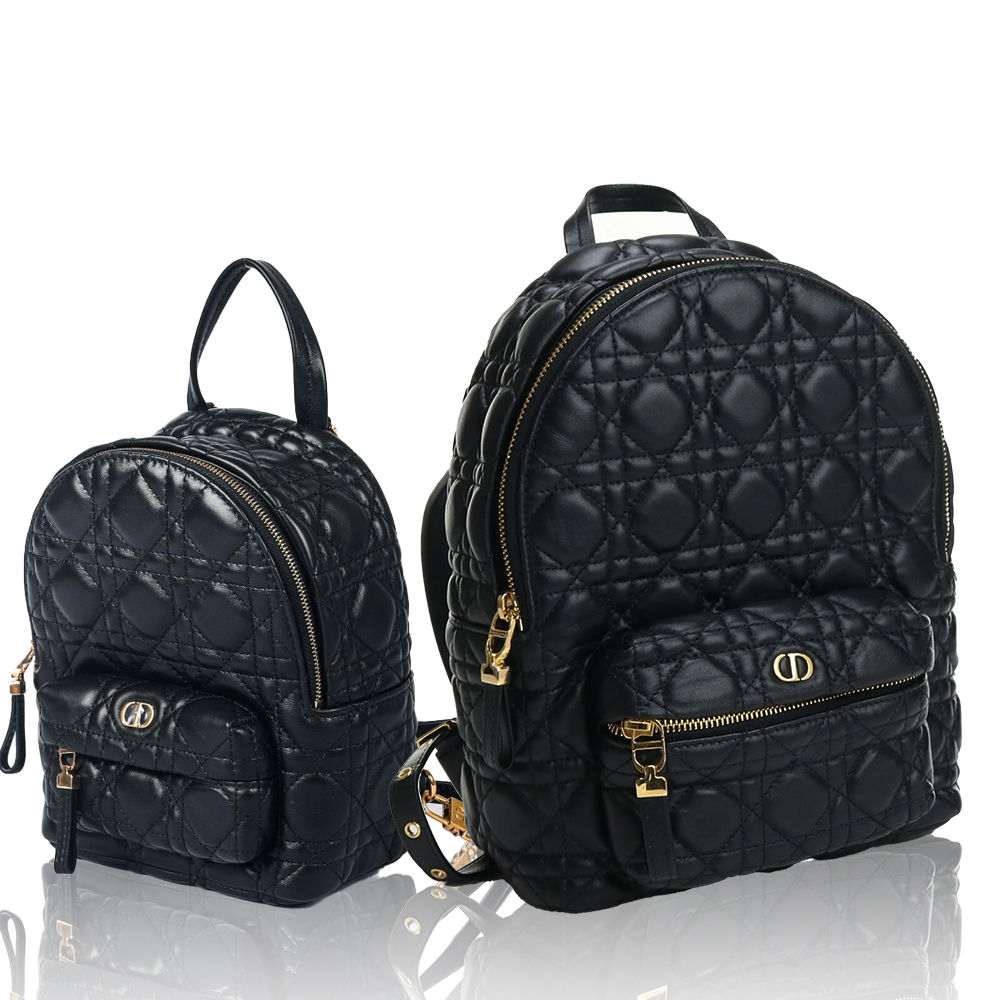 DIOR shoulder bag（Perfect Replica)