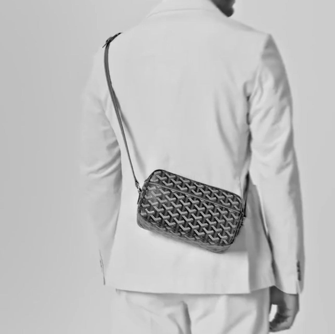 Goyard Cap-Vert PM Bag(Perfect Replica)