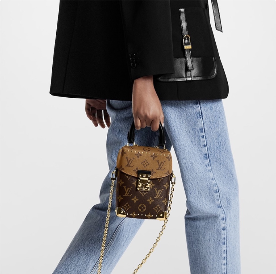 Louis Vuitton LV Camera Bag(Perfect Replica)