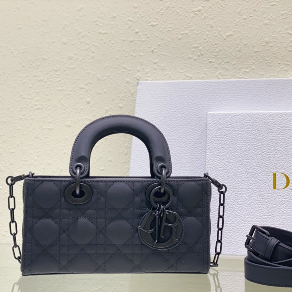 Dior Small&Medium LADY D-JOY - Matte (Perfect Replica)