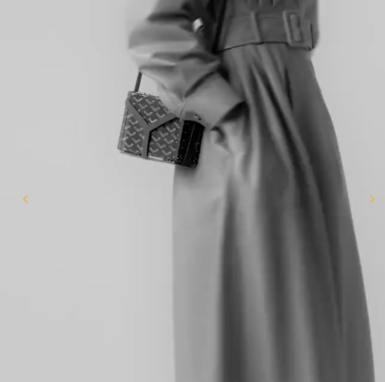 Goyard Minaudière Trunk Bag(Perfect Replica)