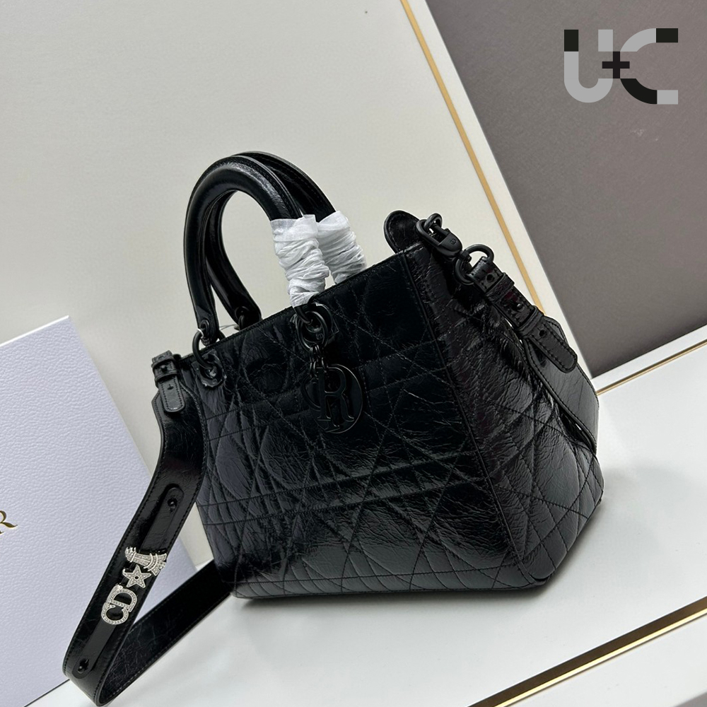 Dior Lady D-Sire bags  (Perfect Replica)