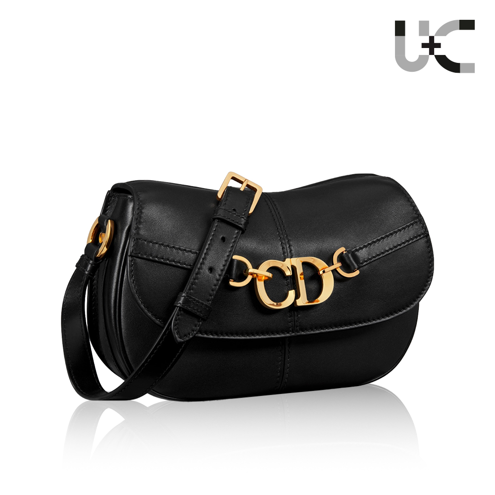 Dior Small CD Besace Bag（Perfect Replica）