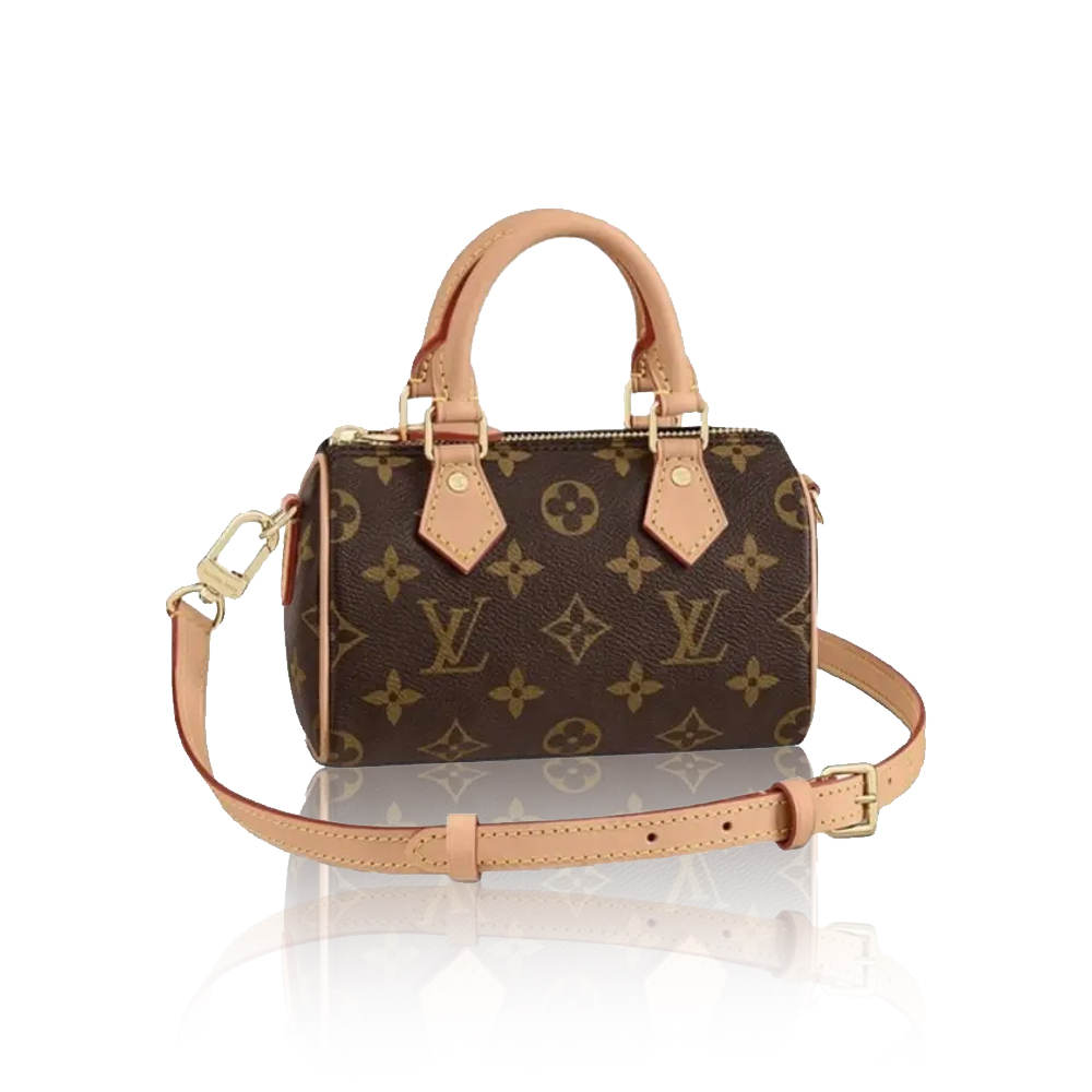 Louis Vuitton Mini Nano Speedy