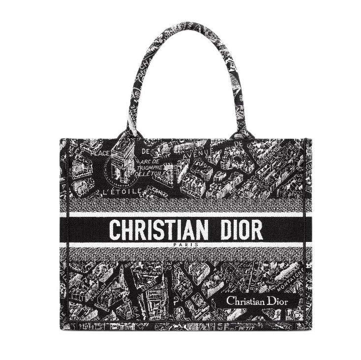 DIOR Book Tote Paris Map Bags(Perfect Replica)