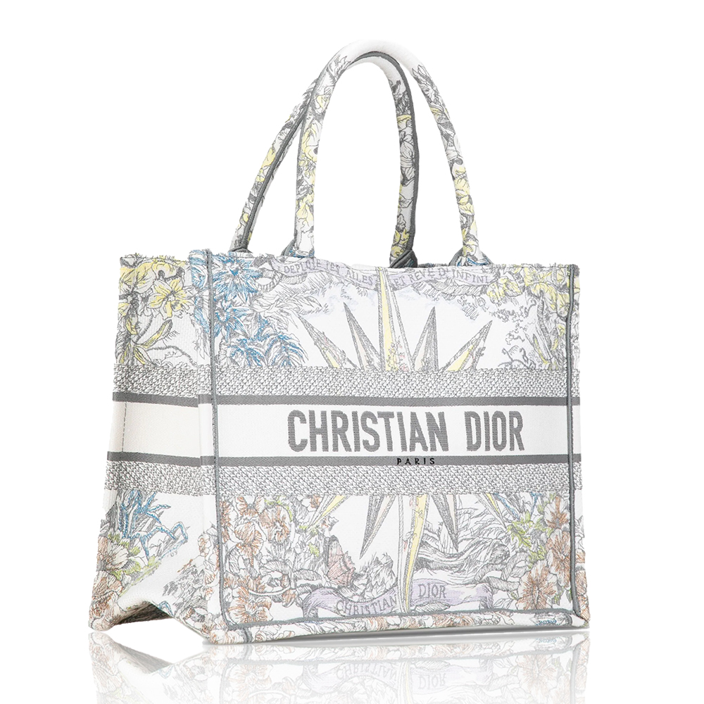DIOR Book Tote Starlight&Star Tote Bags(Perfect Replica)