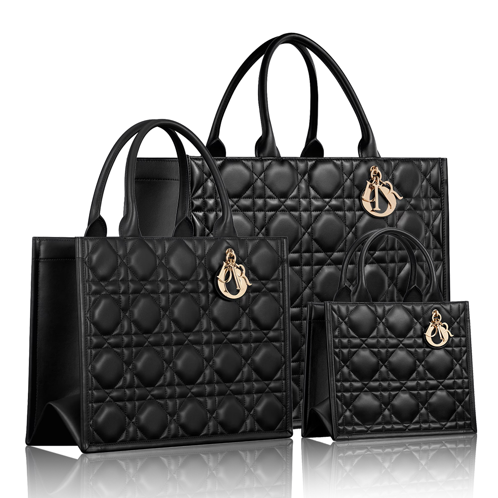 DIOR Book Tote bag (Perfect Replica)