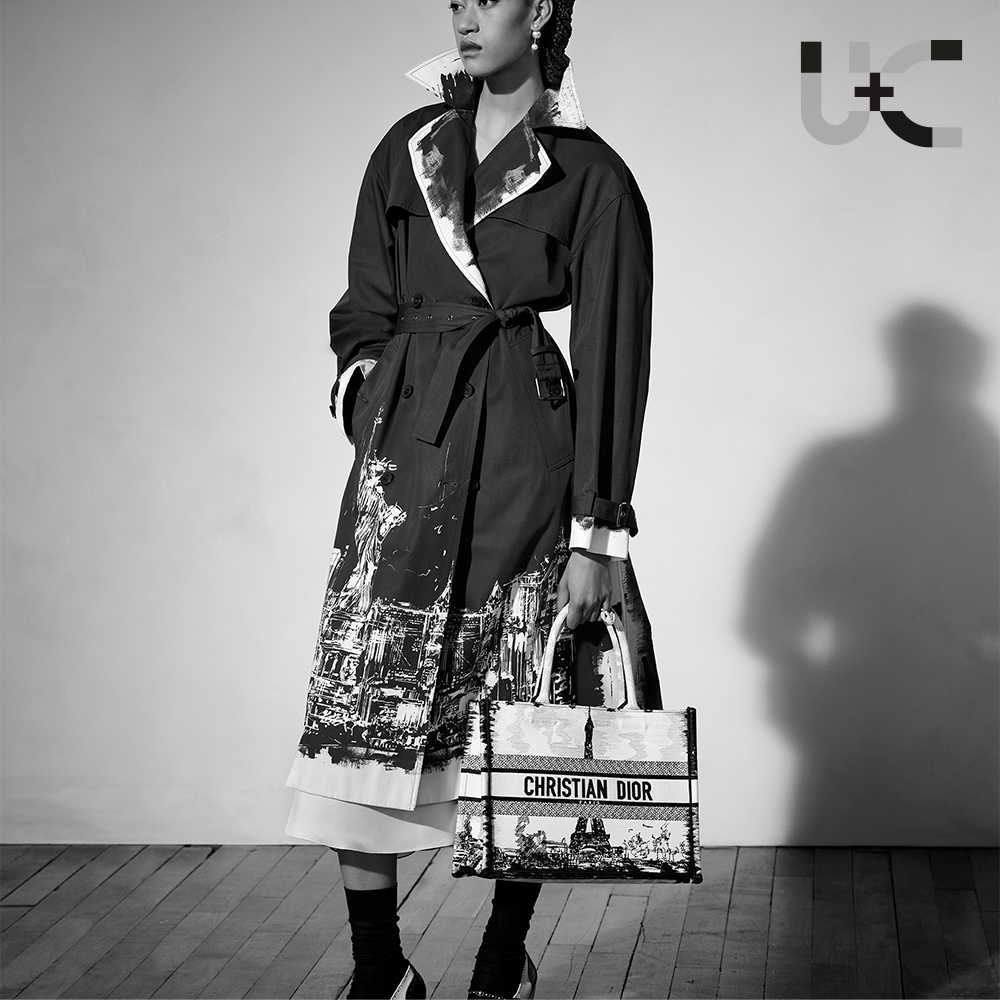 Dior Book Tote Paris Medium Bag（Perfect Replica）