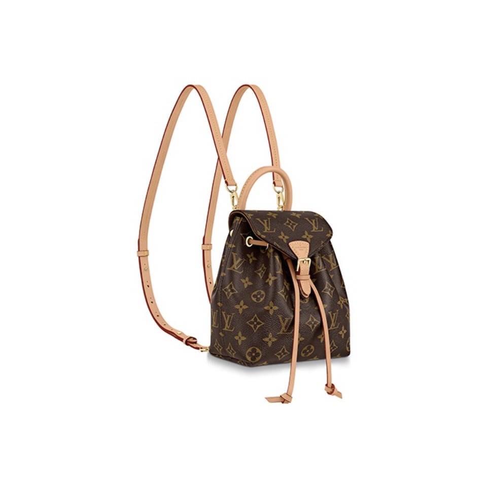 Louis Vuitton LV Montsouris Backpack(Perfect Replica)