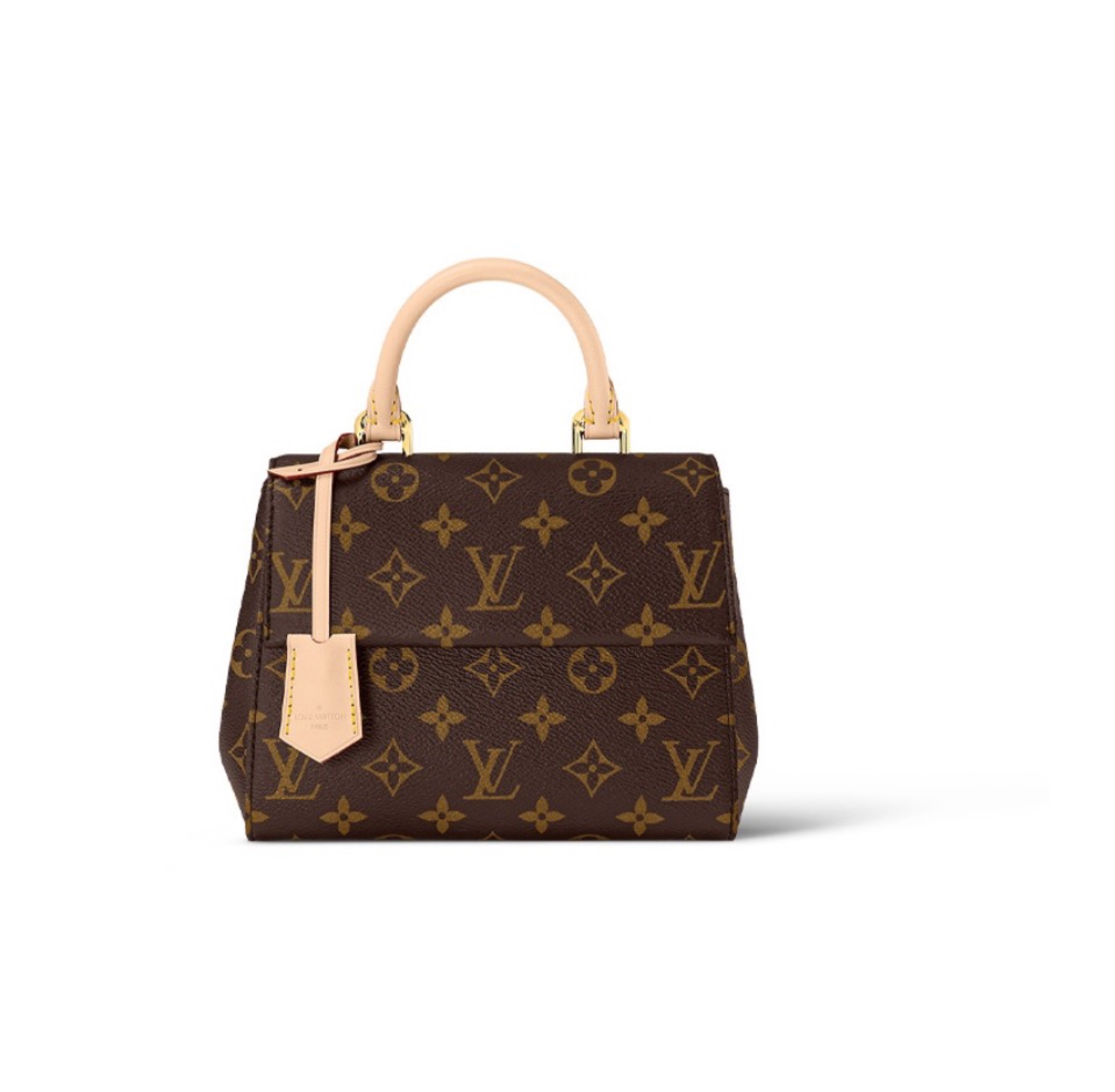 Louis Vuitton LV Cluny Leather Shoulder Crossbody Bag M46055&M46054 (Perfect Replica)
