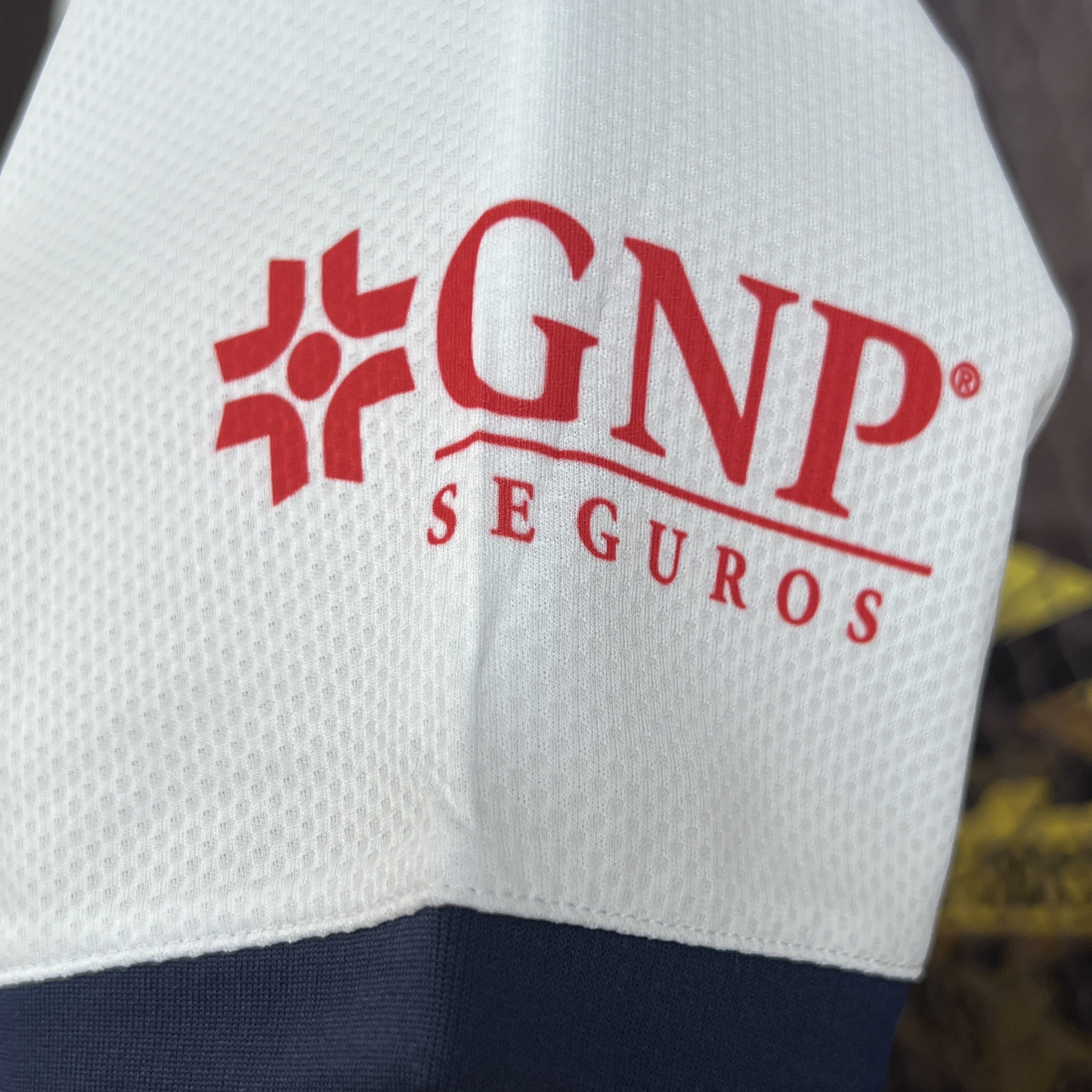 Chivas de Guadalajara 24-25 Away Jersey - Fans Version - ReplicasJersey