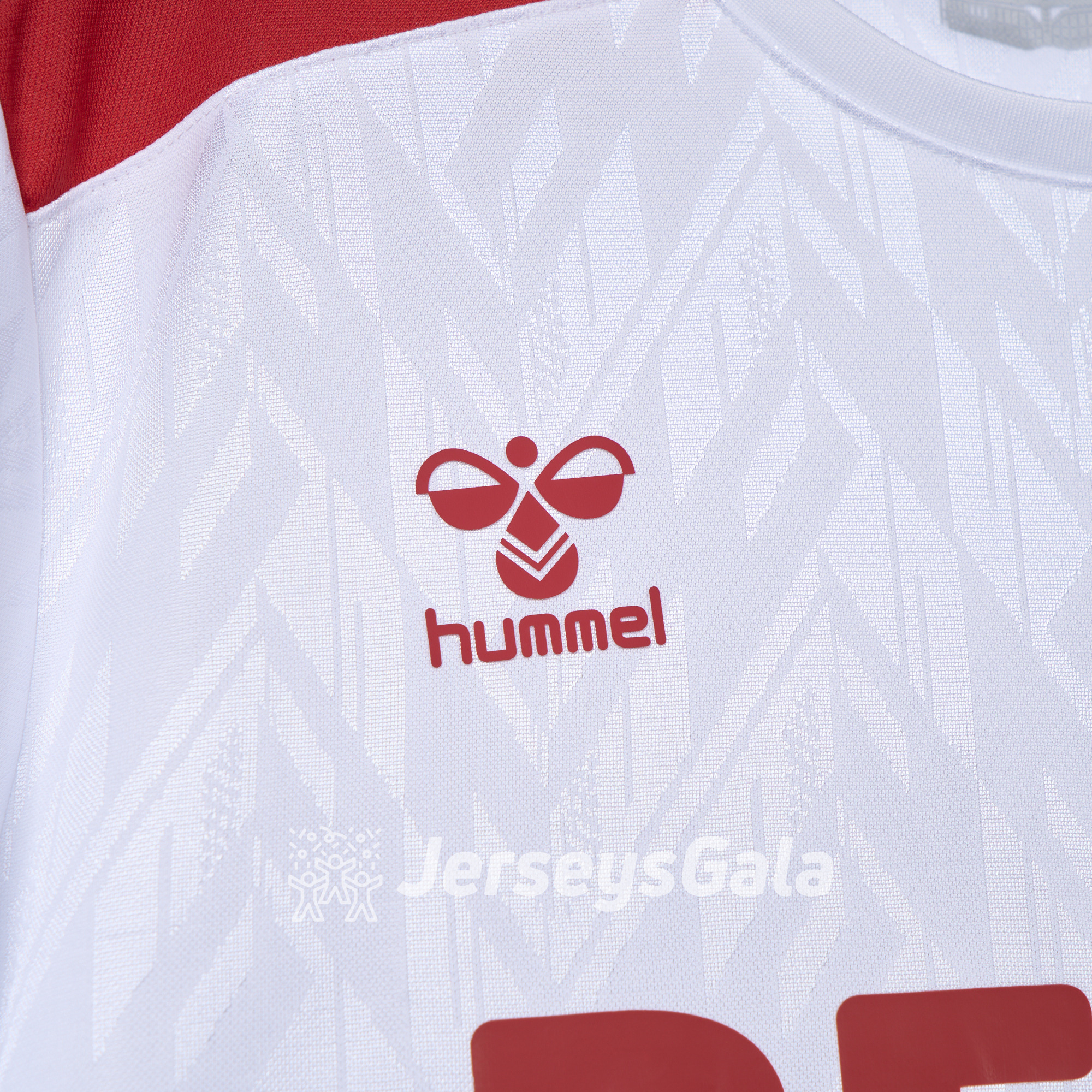 1. FC Köln 24-25 Home Jersey - Fans Version - ReplicasJersey
