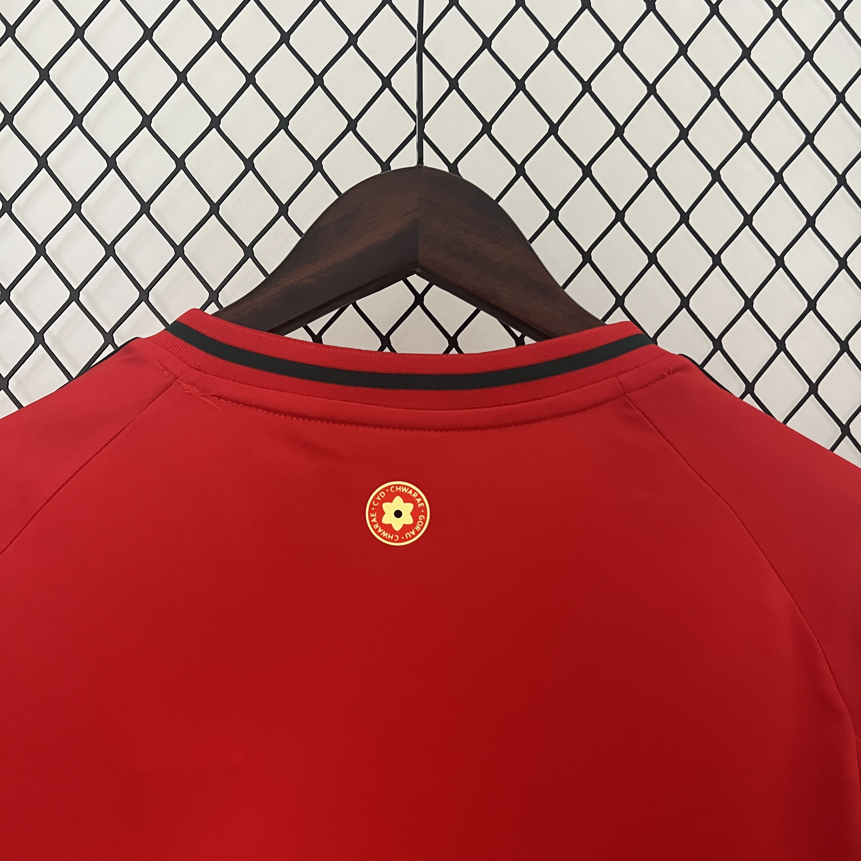 Wales 2024 Home Stadium Jersey - Fans Version - ReplicasJersey