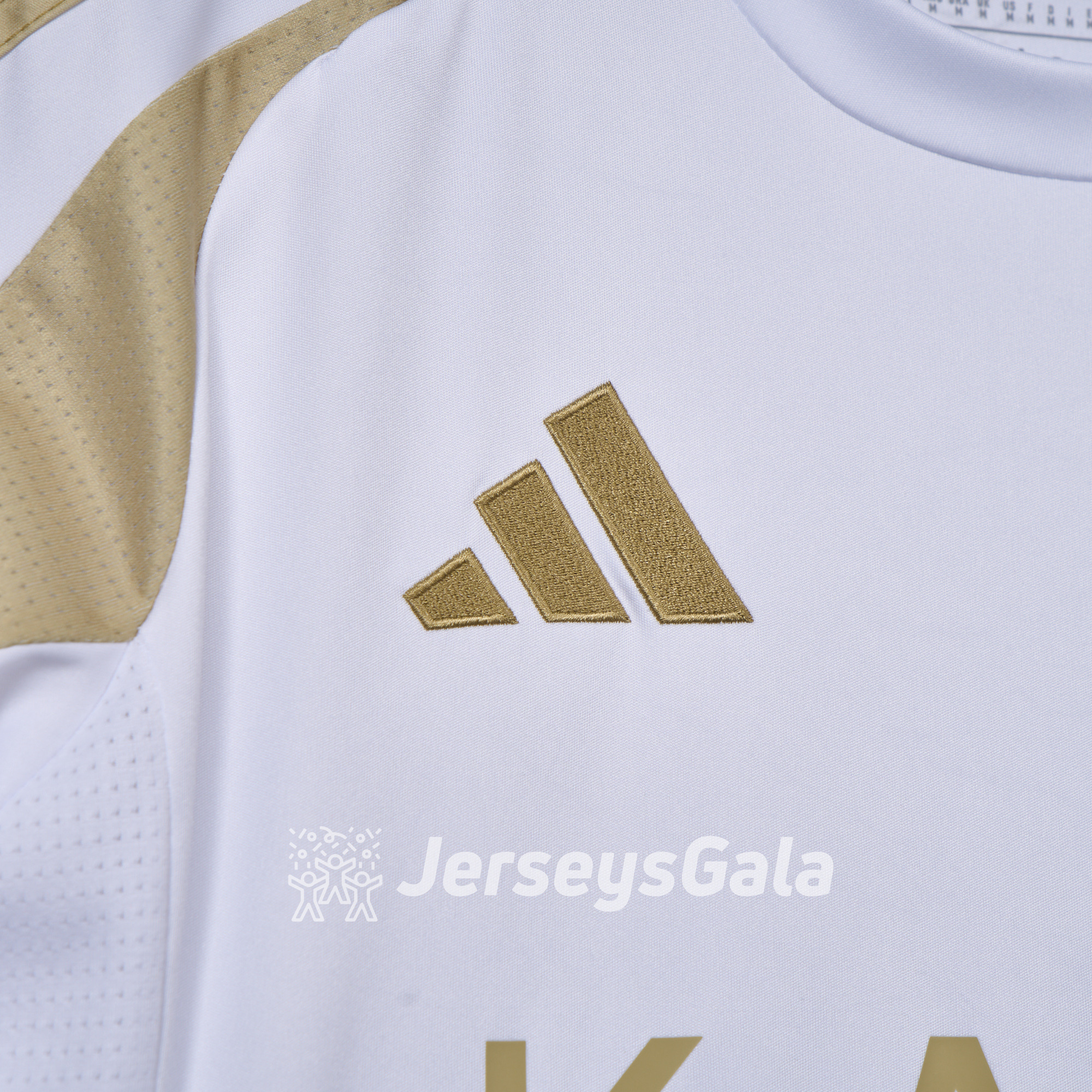 Al Nassr Riyadh Victory 24-25 Third Jersey - Fans Version - ReplicasJersey