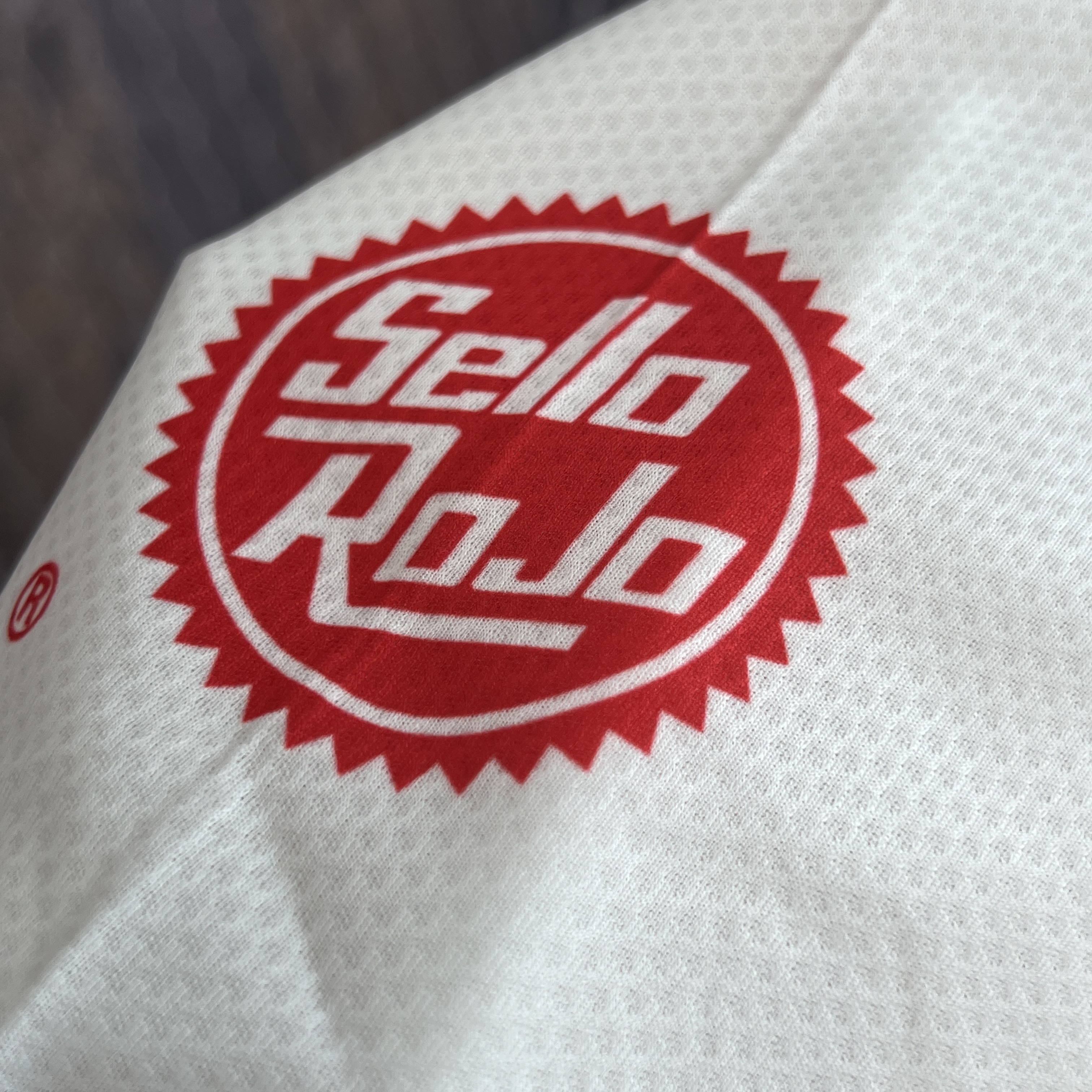 Chivas de Guadalajara 24-25 Away Jersey - Fans Version - ReplicasJersey