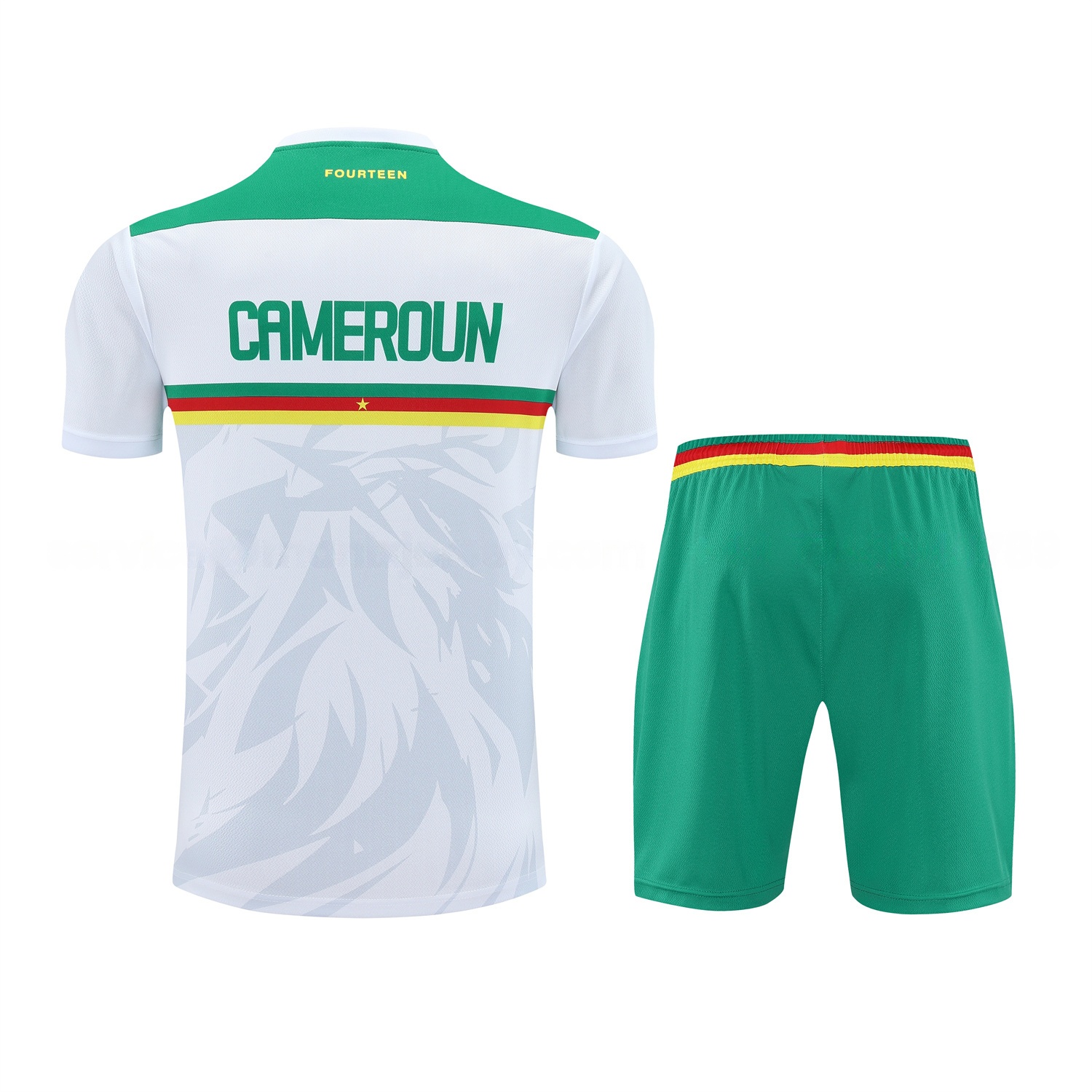 Cameroon 25-26 Short-Sleeve Training Set - White Top and Green Shorts - ReplicasJersey