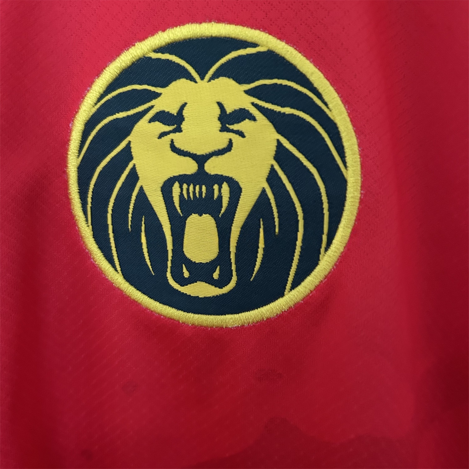 Cameroon 25-26 Away Jersey - Fans Version - ReplicasJersey