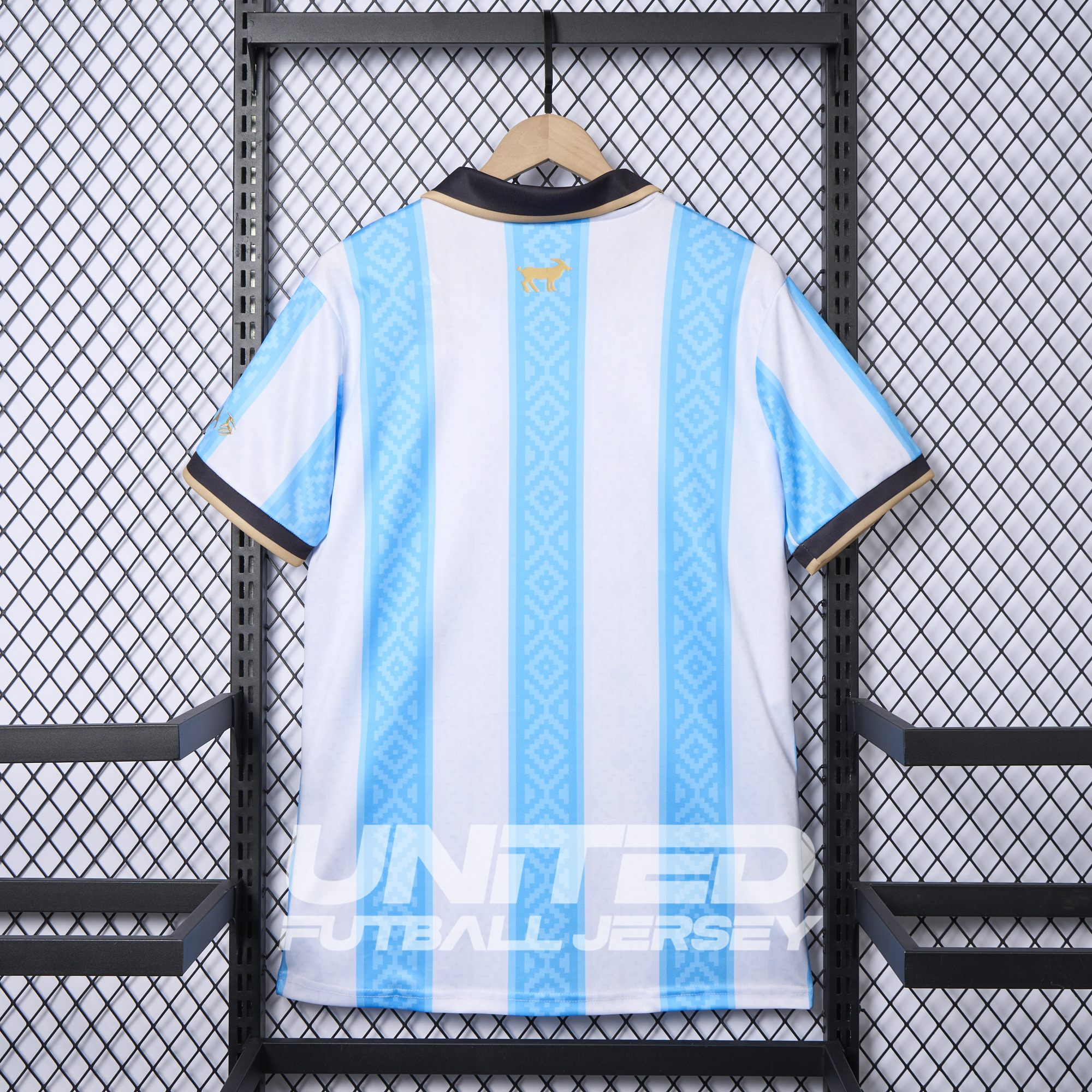 Argentina 2024-25 COMMA Messi Jersey - Fans Version - ReplicasJersey