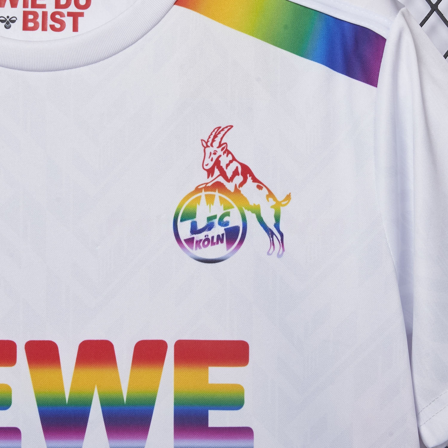 1. FC Köln 2024-25 Pride Diversity Special Edition Jersey - Fans Version - ReplicasJersey