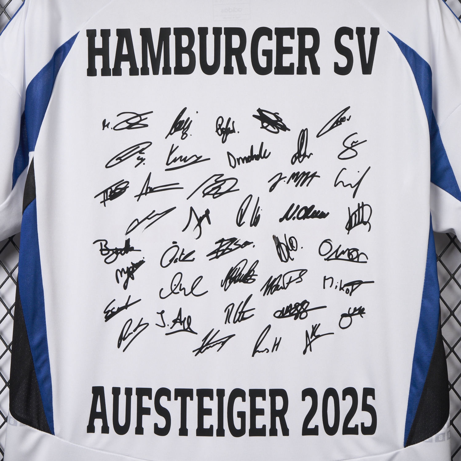 【Team Signatures Version】Hamburger SV 24-25 Home Jersey - Fans Version - ReplicasJersey