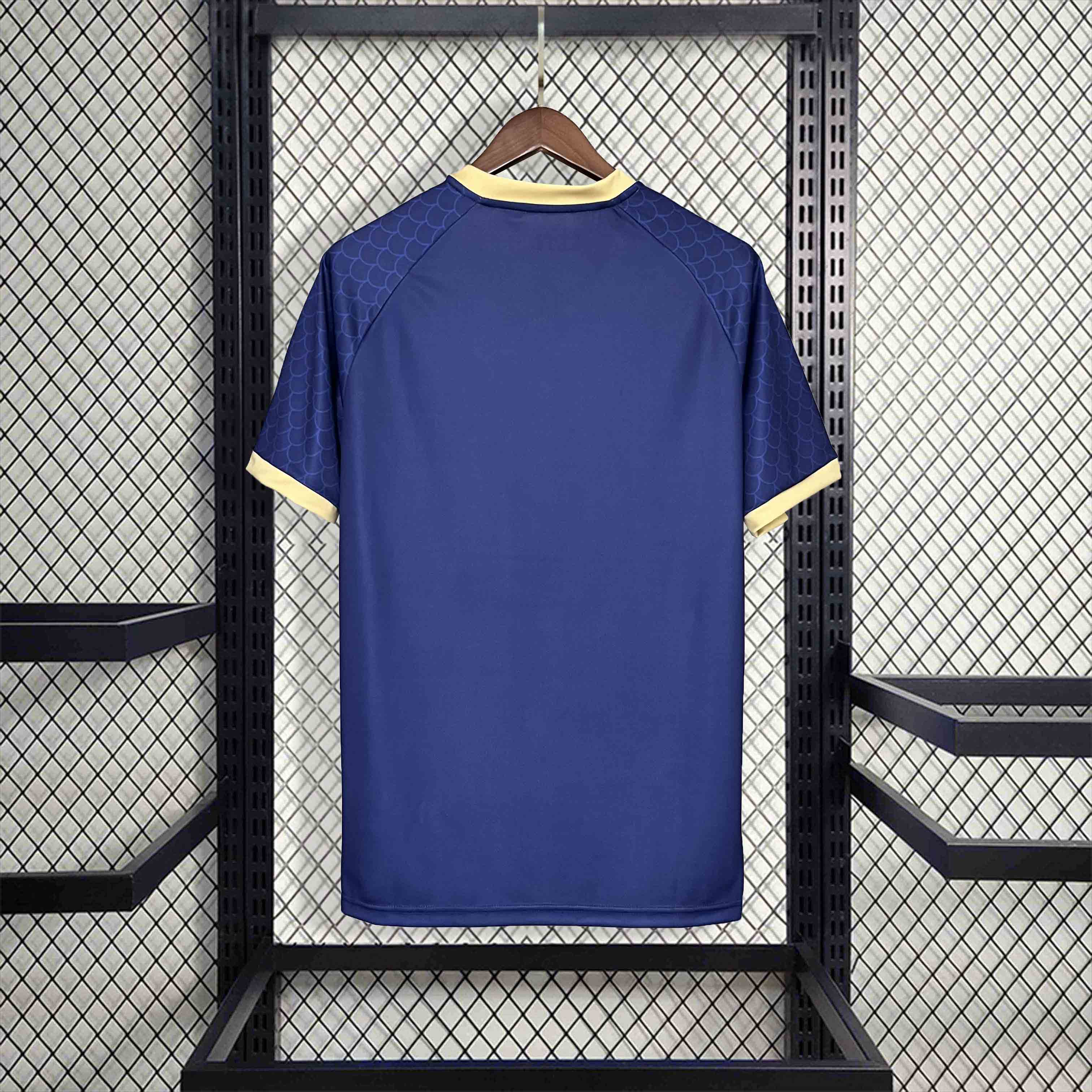 Japan 2024 Blue Dragon Special Edition Jersey - Fans Version - ReplicasJersey