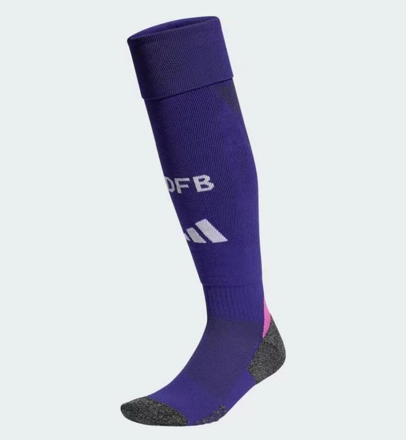 Germany 2024 Away Socks - Purple - ReplicasJersey