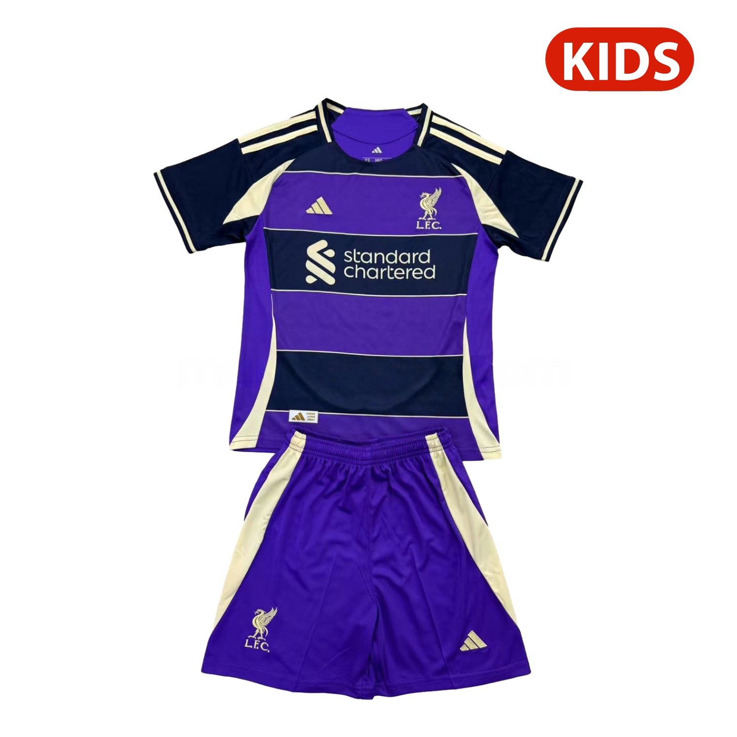 Liver.pool 25-26 Purple Dark Blue Horizontal Stripes Concept Kids Kit - ReplicasJersey