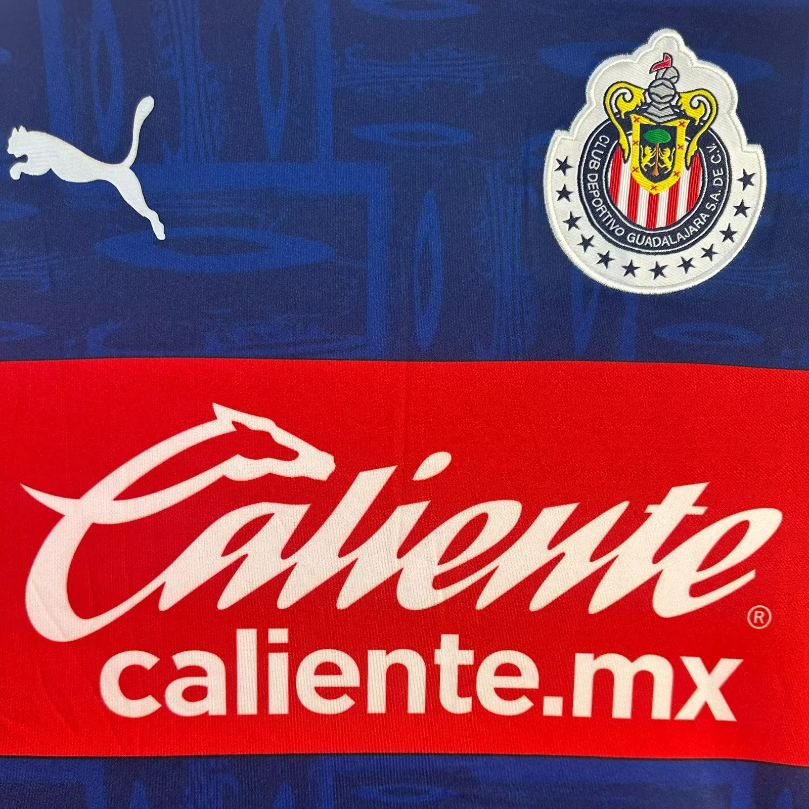 Retro Chivas de Guadalajara 2019-20 Away Long Sleeves Jersey - ReplicasJersey