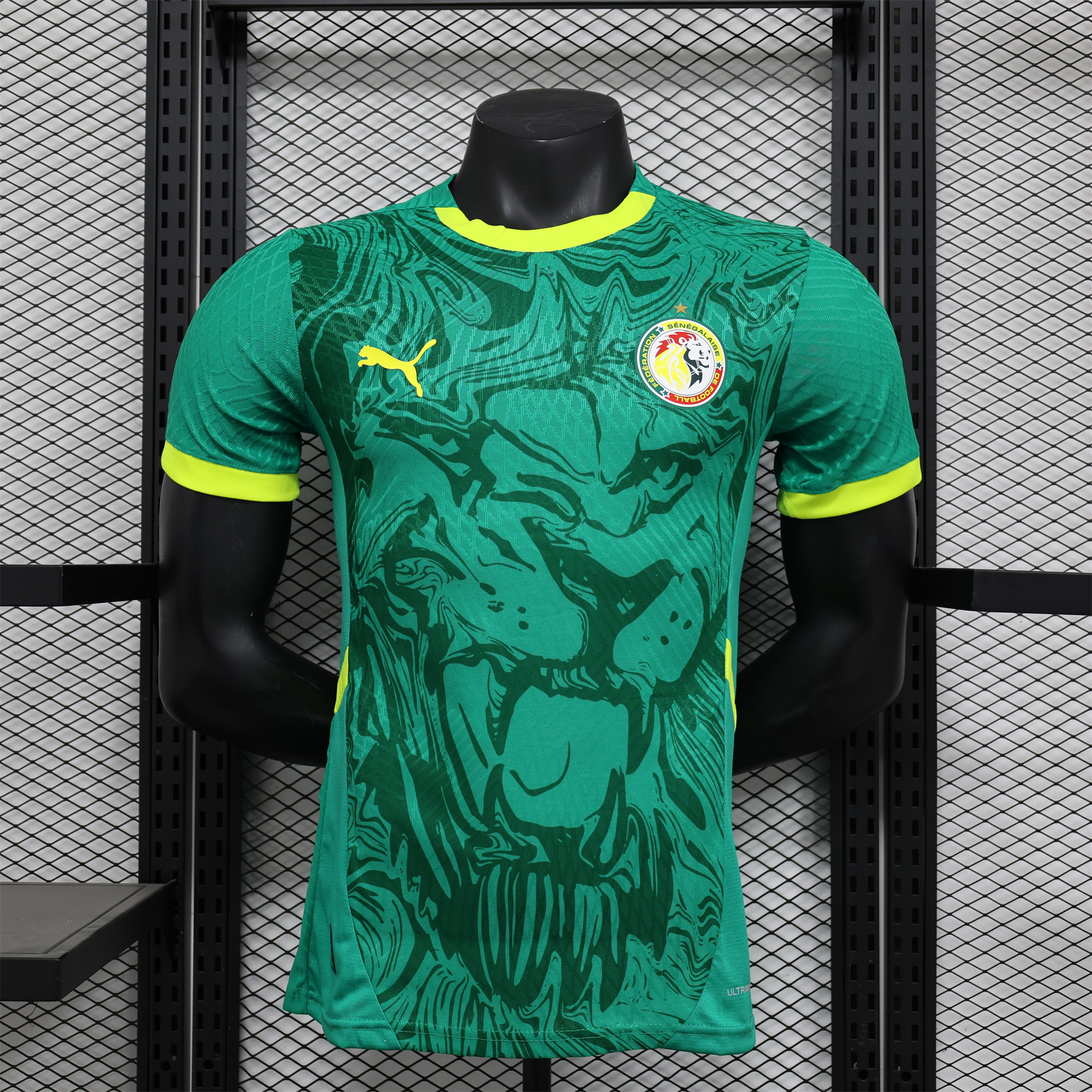 Senegal 24-25 Away Green Jersey - Player Version - ReplicasJersey
