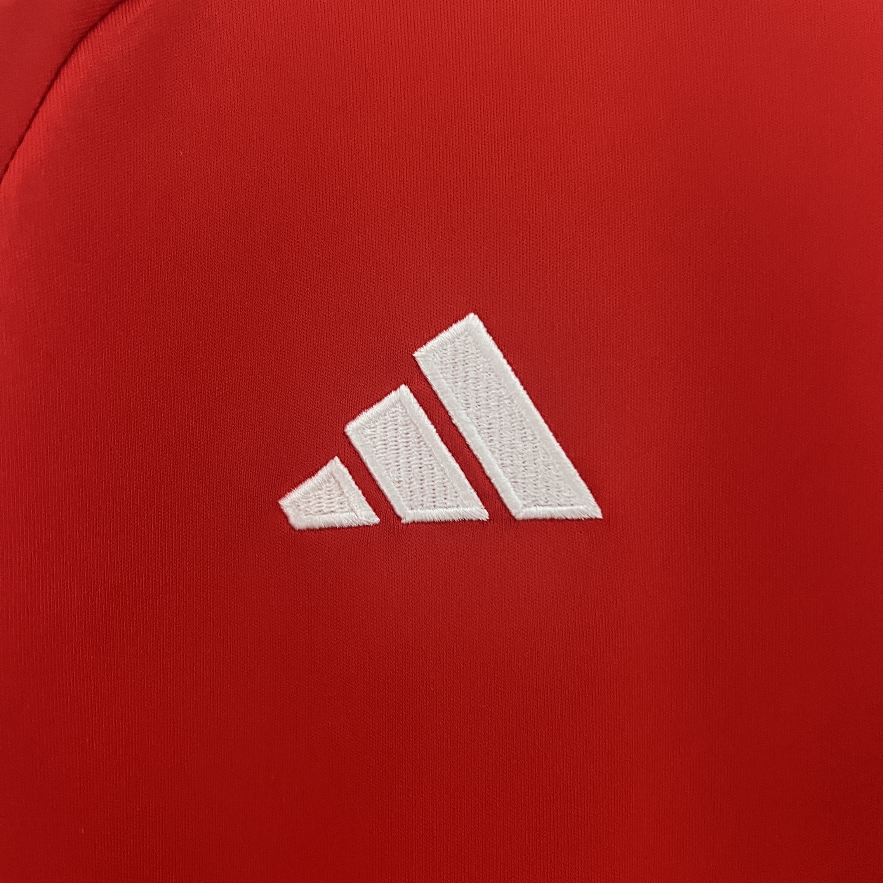 Wales 2024 Home Stadium Jersey - Fans Version - ReplicasJersey