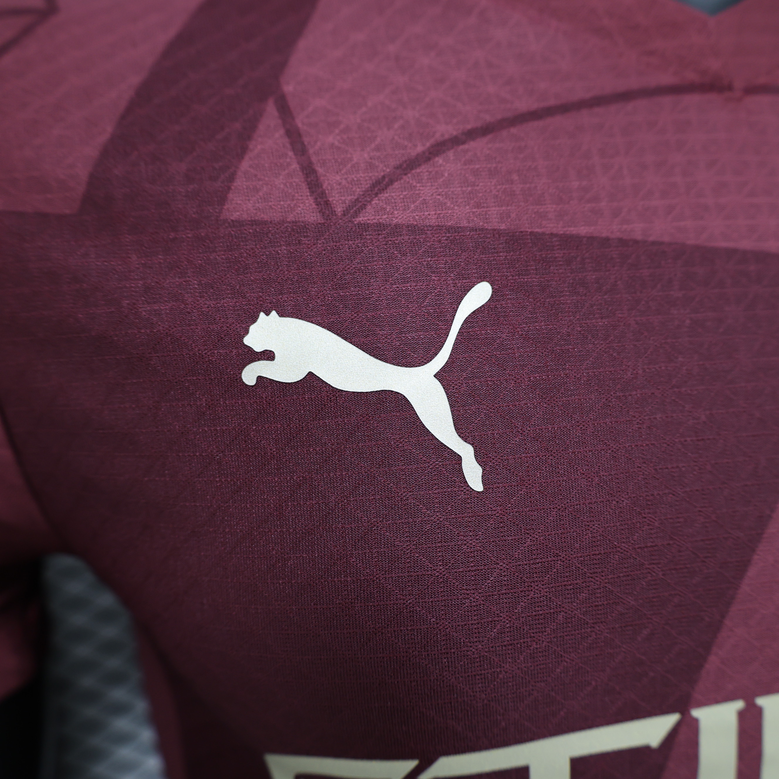 Manchester City 24-25 Third Jersey - Player Version - ReplicasJersey