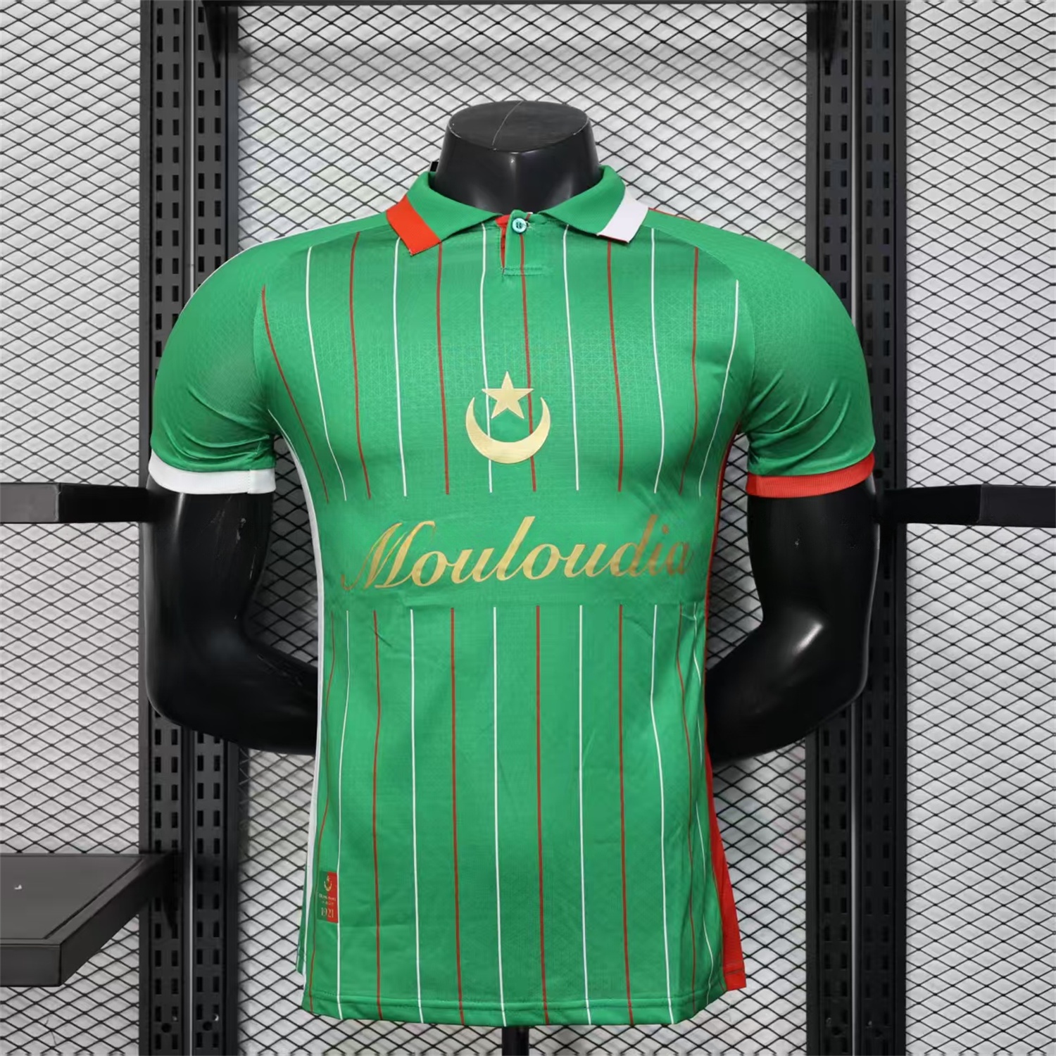 Club Deportivo Palestino Palestine 25-26 Green Special Jersey - Player Version - ReplicasJersey