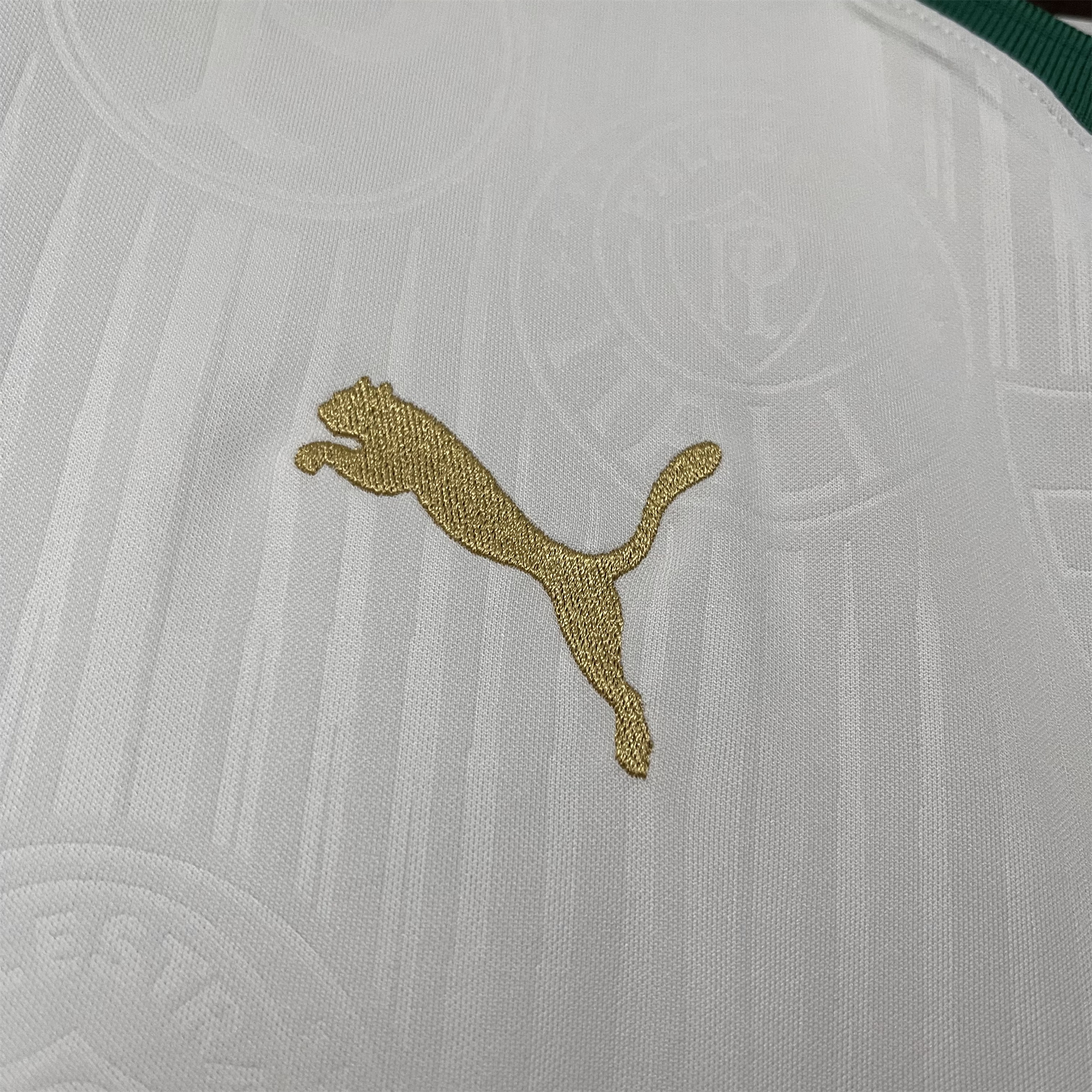 Palmeiras 2024 Away Jersey - Fans Version - ReplicasJersey