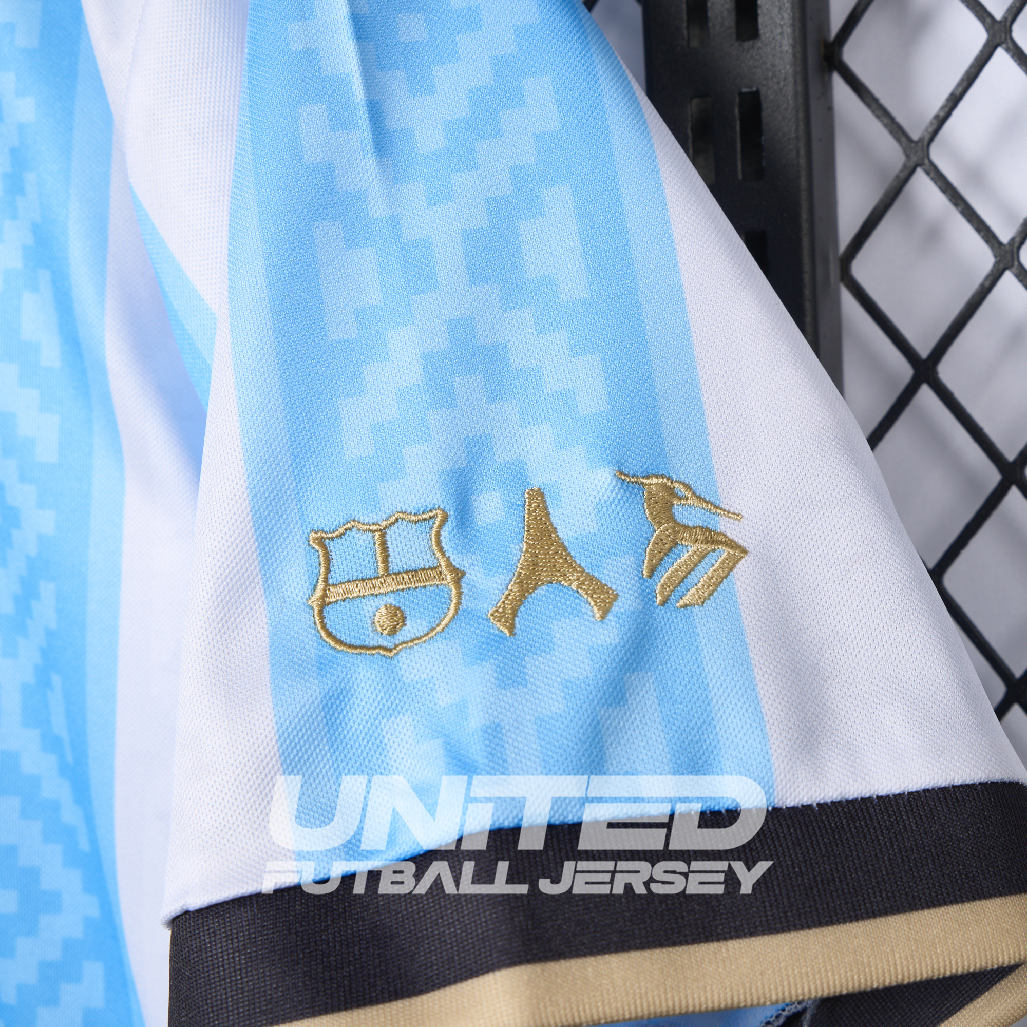 Argentina 2024-25 COMMA Messi Jersey - Fans Version - ReplicasJersey