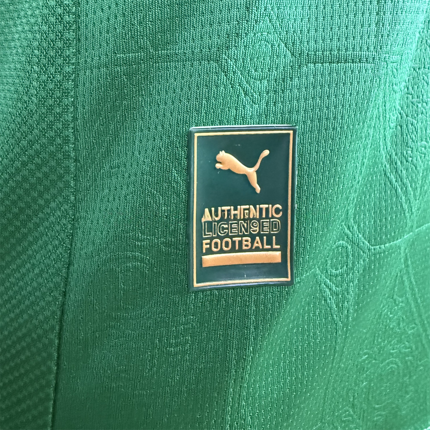 Palmeiras 2025-26 Home Jersey - Player Version - ReplicasJersey
