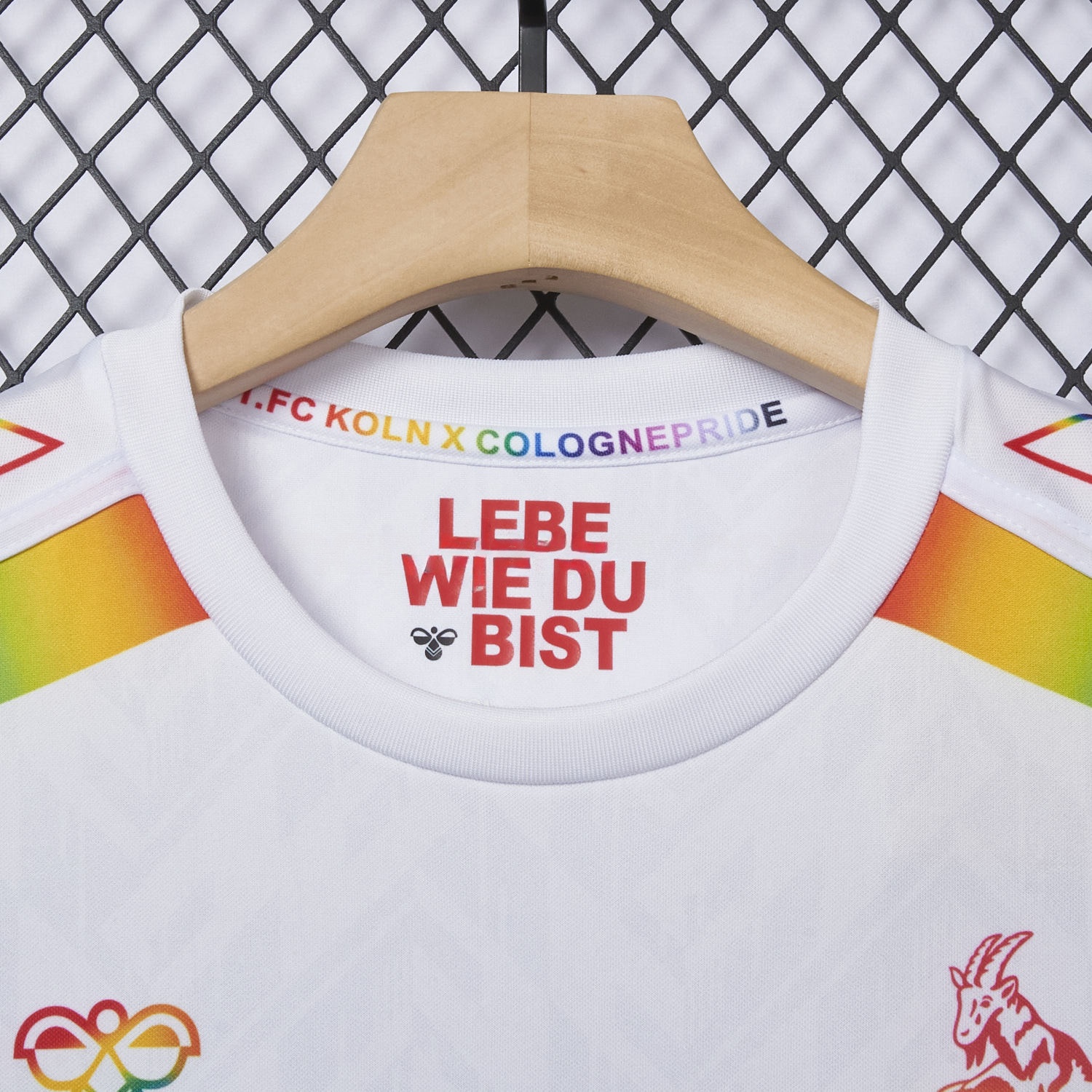 1. FC Köln 2024-25 Pride Diversity Special Edition Jersey - Fans Version - ReplicasJersey