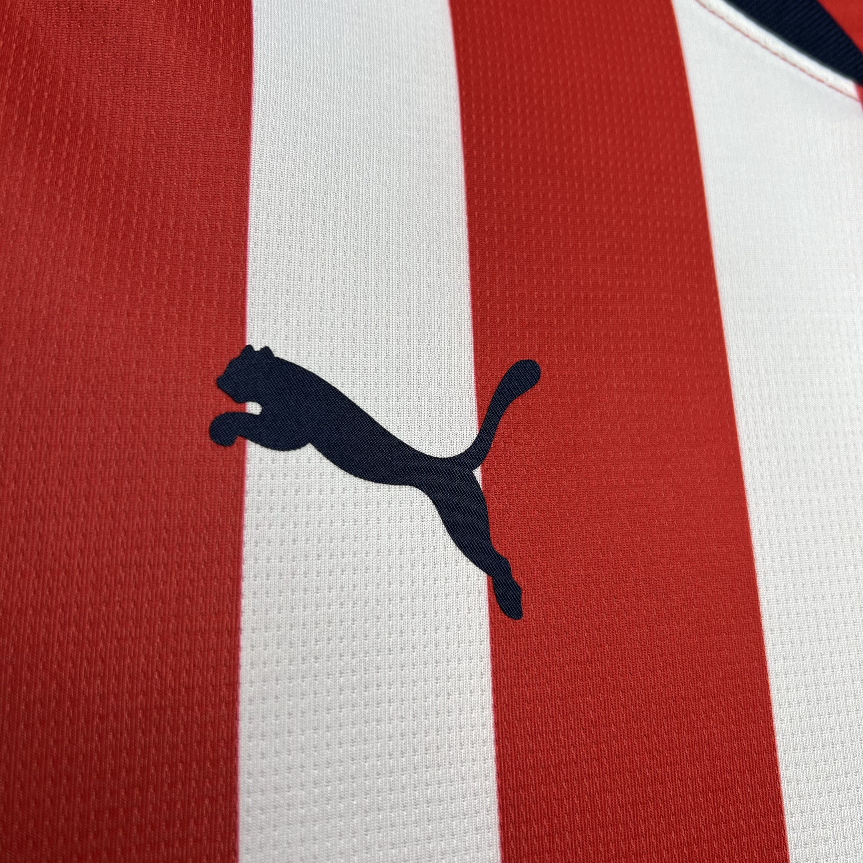 Chivas de Guadalajara 24-25 Home Stadium Jersey - Fans Version - ReplicasJersey