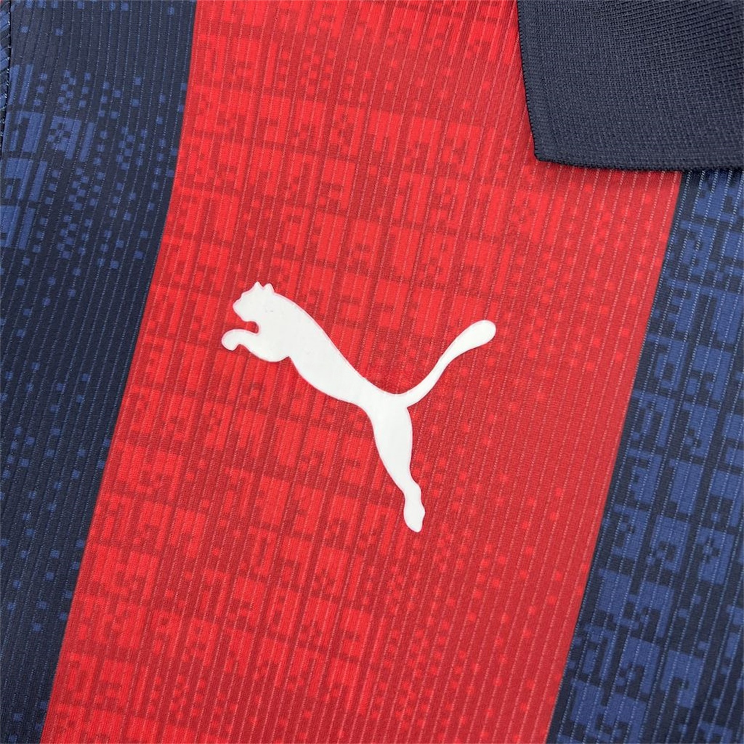 Cerro Porteno 25-26 Home Jersey - Fans Version - ReplicasJersey