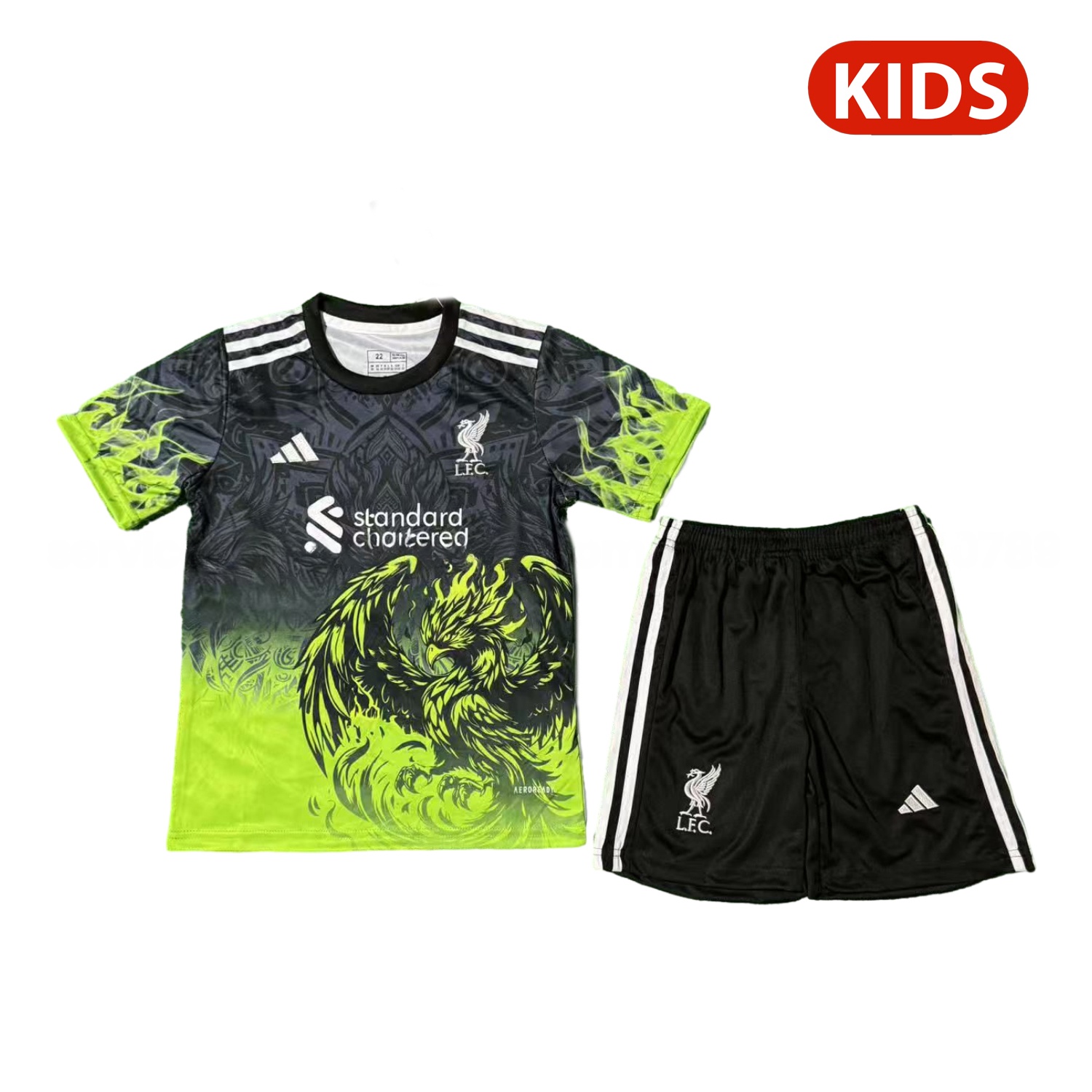 Liver.pool 25-26 Green Liver.pool Bird Black Special Kids Kit - ReplicasJersey