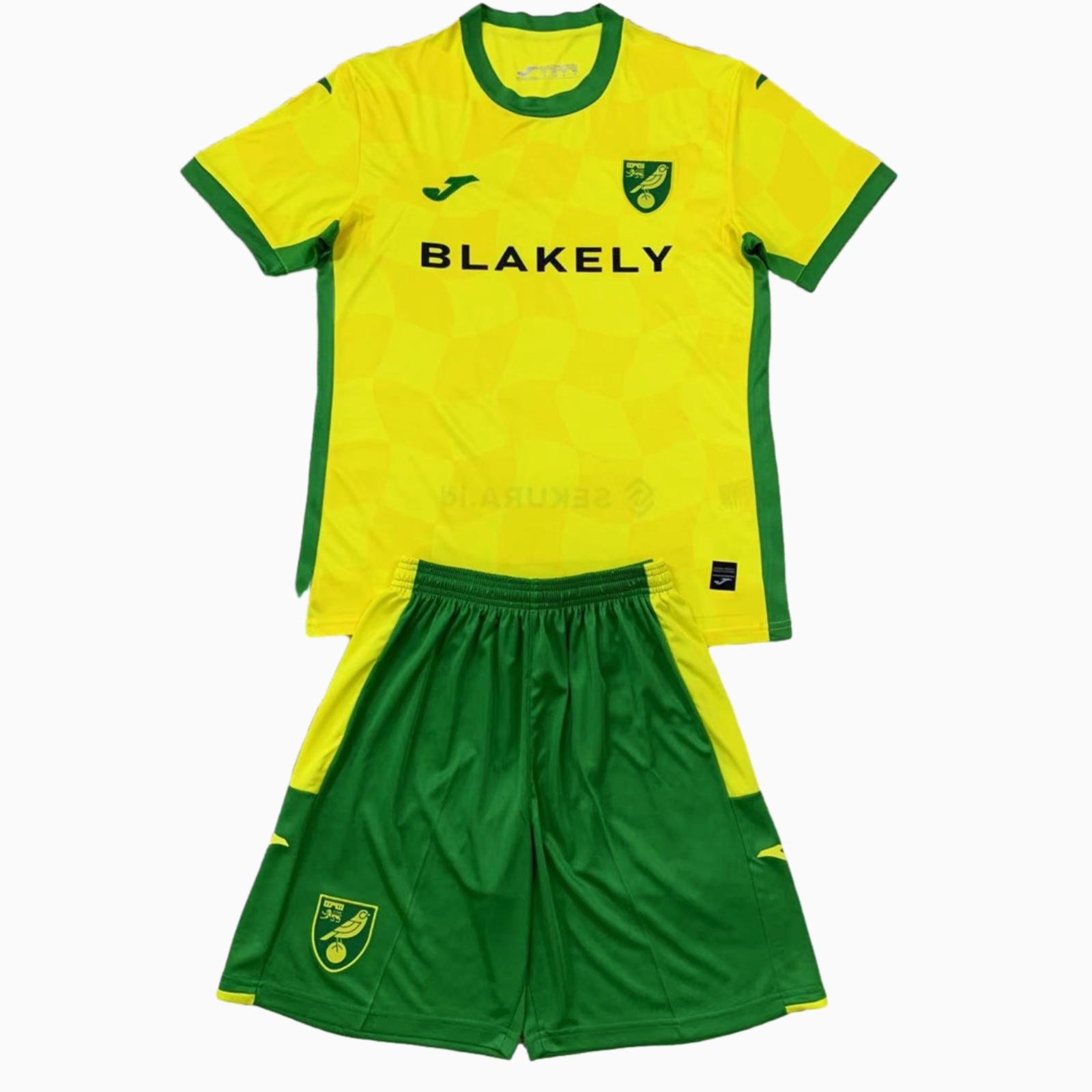 Norwich City 24-25 Home Kids Kit - ReplicasJersey