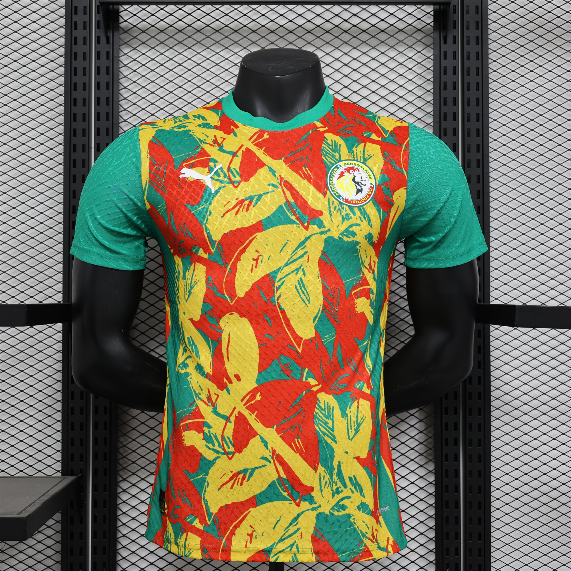 Senegal 24-25 Pre-Match Jersey - Player Version - ReplicasJersey