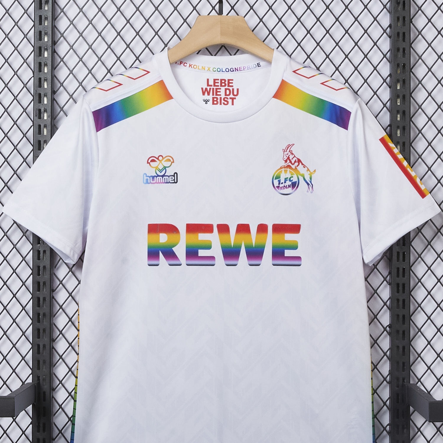 1. FC Köln 2024-25 Pride Diversity Special Edition Jersey - Fans Version - ReplicasJersey