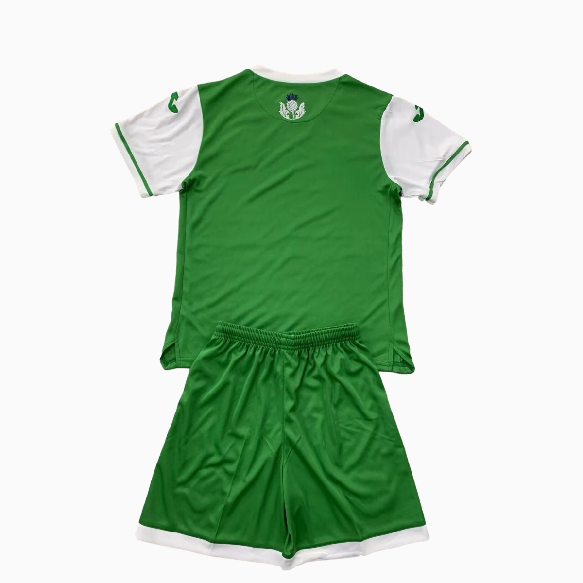 Hibernian 24-25 Home Men's Adult Jersey Set - Fans Version - ReplicasJersey