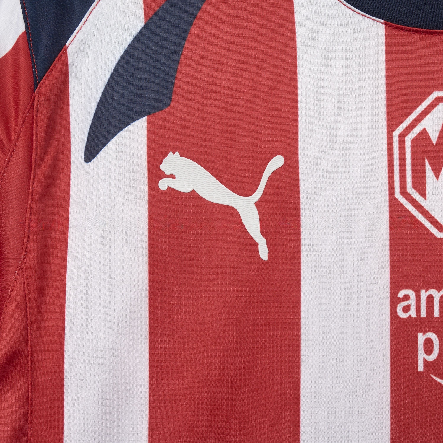 Chivas de Guadalajara 25-26 Home Jersey - Fans Version - ReplicasJersey