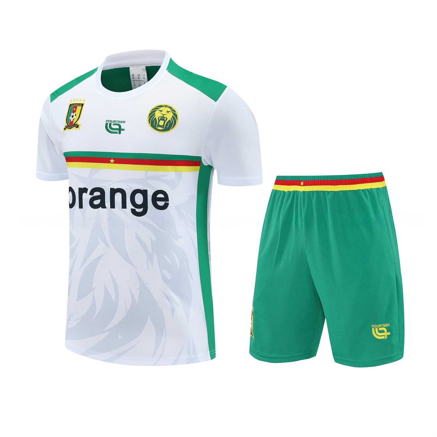 Cameroon 25-26 Short-Sleeve Training Set - White Top and Green Shorts - ReplicasJersey