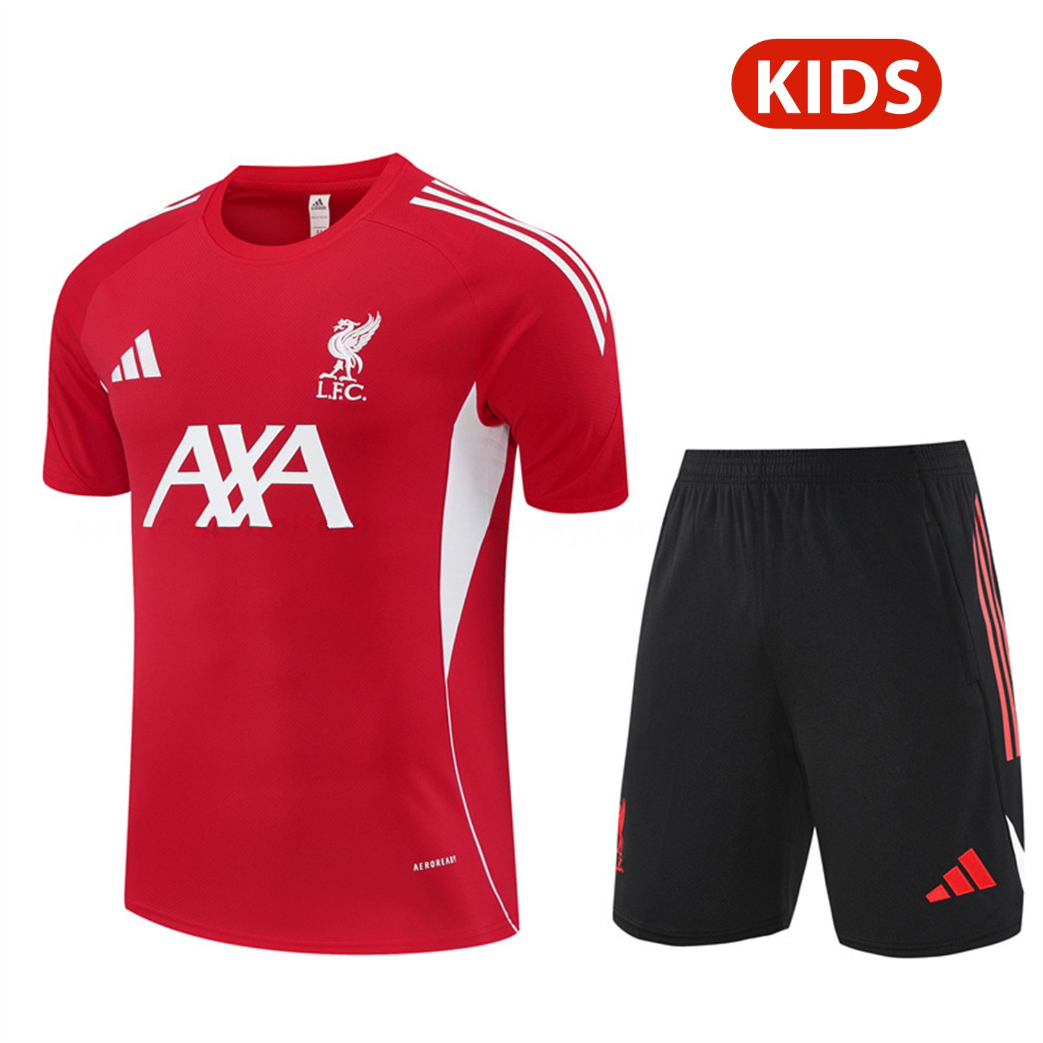 Liver.pool 25-26 Kids Short-Sleeve Training Set - Red Top & Black Shorts - ReplicasJersey